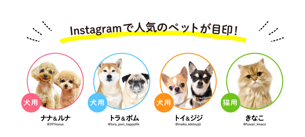 Instagramで人気のペットが目印！
